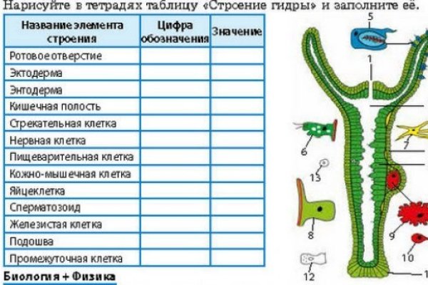 Как зайти на кракен без тора