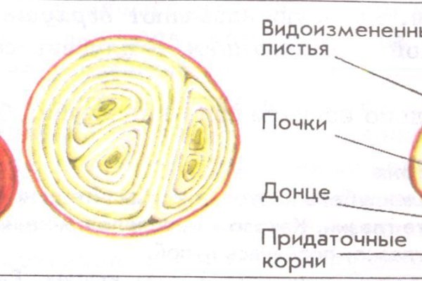 Кракен наркотики россия