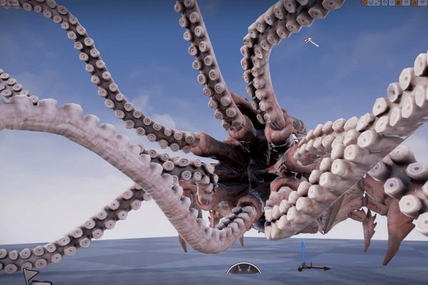 Kraken online