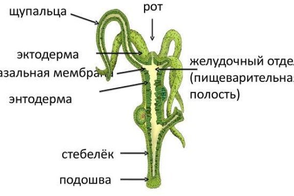 Сайт кракен через тор