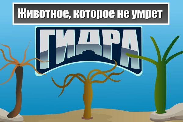 Ссылка на сайт кракен в тор браузере